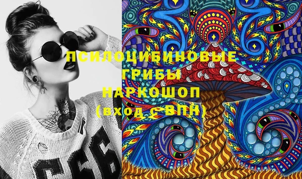 винт Аркадак