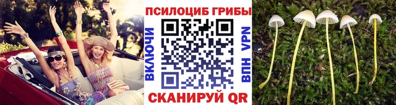 Галлюциногенные грибы мухоморы  omg маркетплейс  Усолье 